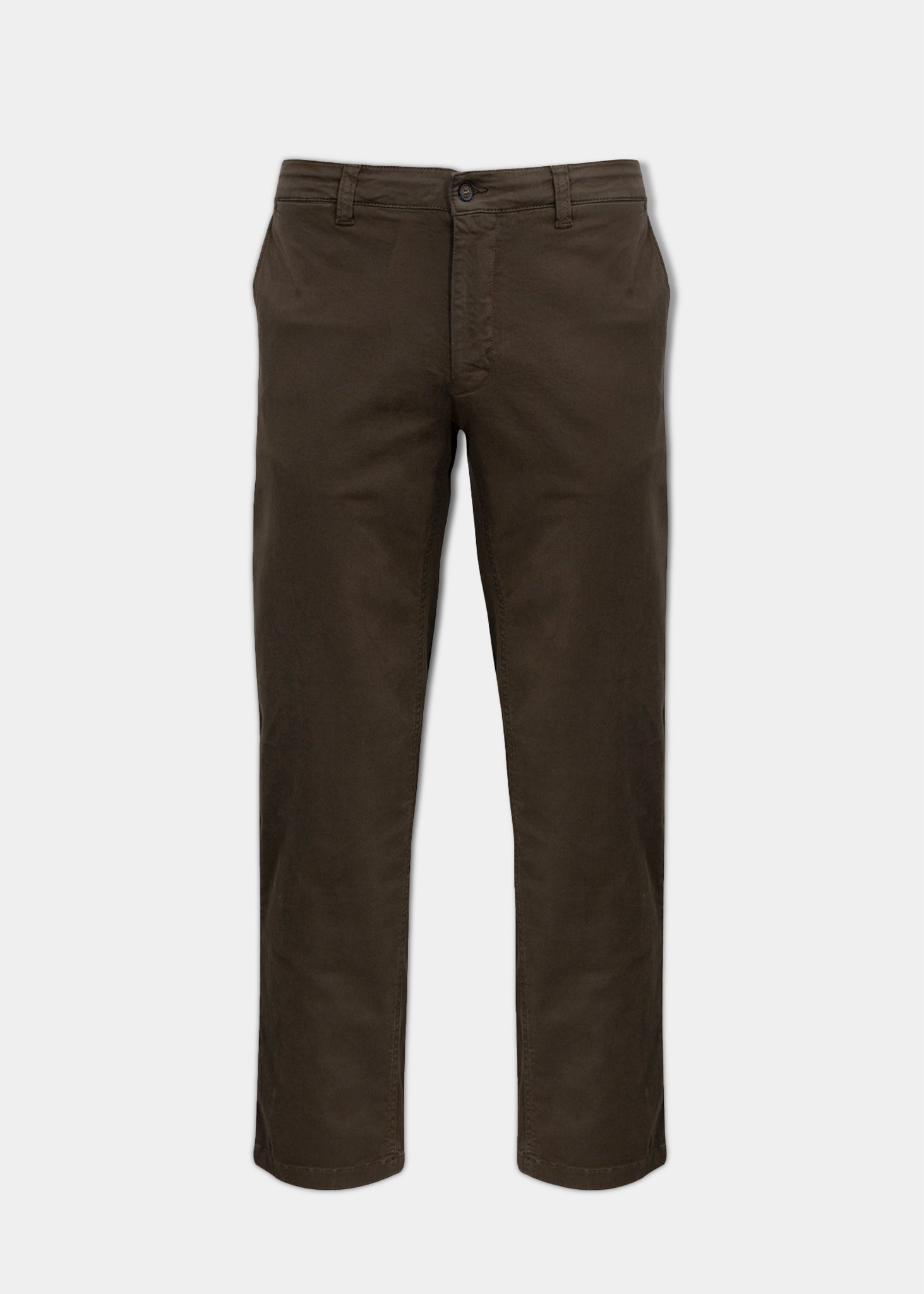 Chino olive best sale