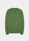 Men's Lambswool Crew Neck Jumper in Palm - Regular Fit